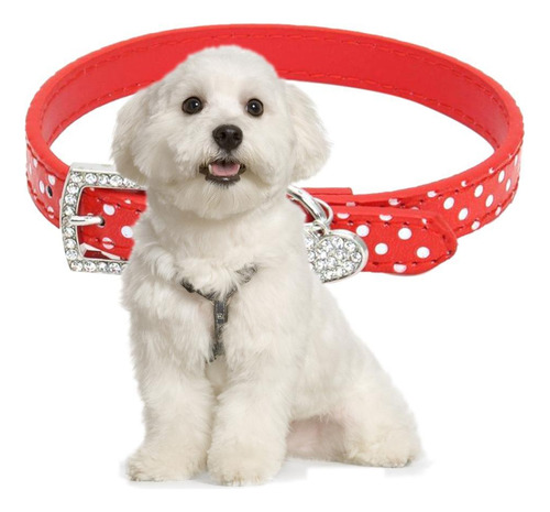 Collar De Perro Mascota L