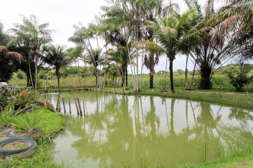 Imagem 22 de 23 de Linda Chácara Com 3300m² Próximo À Praia Dulé! - Ch0003