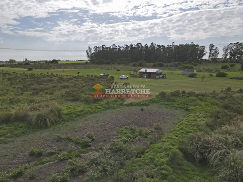 Imagen 18 de 23 de Chacra En Los Cerrillos, 3 Has Con Casa, Pozo De Agua.