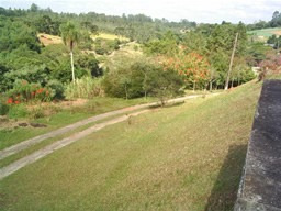 Imagem 9 de 14 de São Roque P/vende Hoje 6 Alqueires Ou 145.000m2 Só R$ 749mil