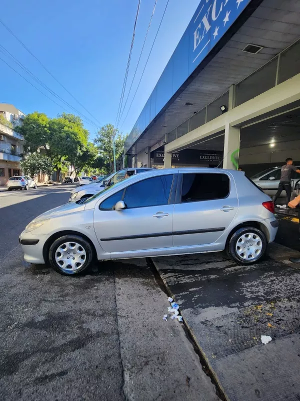 Peugeot 307 Xs 1.6