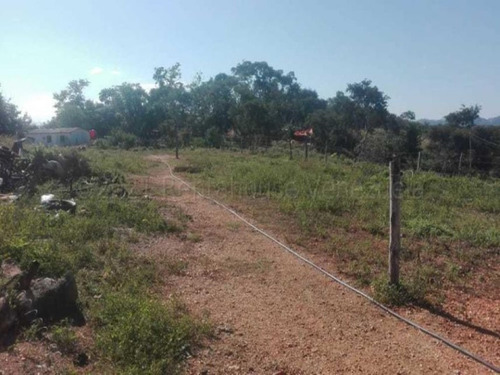 Imagen 4 de 30 de Terrenos En Venta Sarare Simon Planas 21-15944 #m