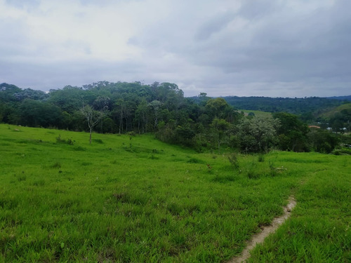 Imagem 9 de 10 de A30 Lote Com Arborização