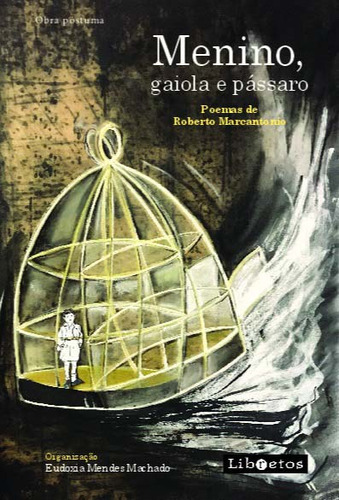 Menino, Gaiola E Passaro, De Machado, Eudoxia Mendes., Vol. Poesia. Editora Libretos, Capa Mole Em Português, 20