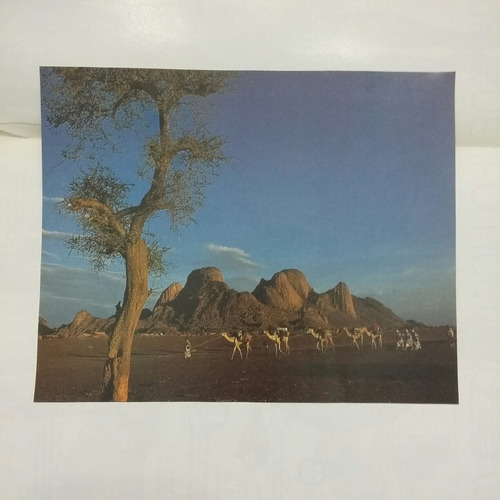 Recorte Imagen Paisaje De Kassala En Sudán (rp)