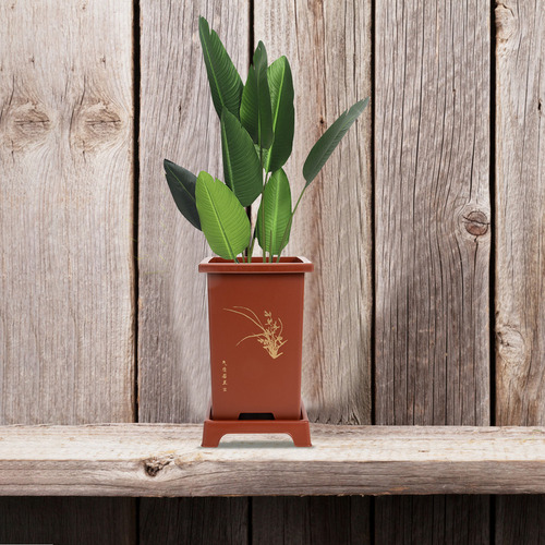 2025 Maceta De Orquídeas For Interiores Con Decoración