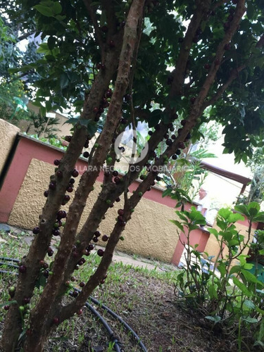 Imagem 25 de 30 de Casa À Venda No Bairro Horto Florestal - São Paulo/sp, Zona Norte - 180075