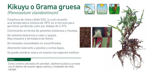 Semilla De Pasto Kikuyo Whittet 1 Kg + Terrasabvia 10 Kg