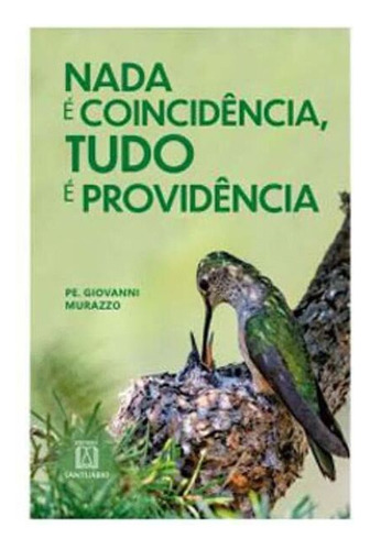 Livro Nada É Coincidência, Tudo E Providência, De Murazzo, Pe. Giovanni. Editora Santuario, Capa Mole Em Português, 2020