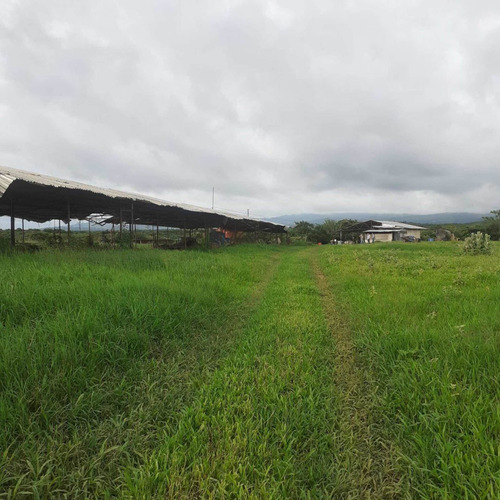 Imagen 21 de 26 de Finca En Venta Vía Cordero El Cuji Ksanchez