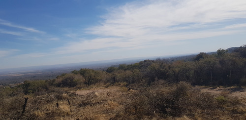 Vendo Casi 1 Ha Merlo San Luis Vista Al Valle Arroyo A 500mt