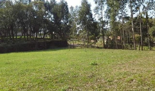 Imagem 12 de 15 de Chácara Para Venda Em Quitandinha, Zona Rural - Qui3300_1-2030544