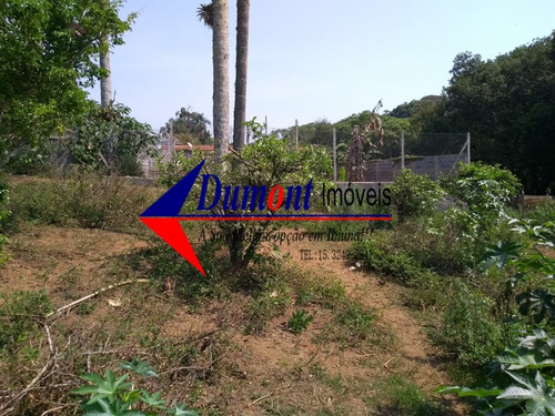 Imagem 7 de 14 de Terreno Limpos Com Árvores Frutíferas Cód 464