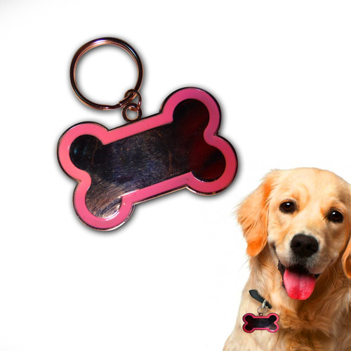 Placa Chapa Mediana Identificador Mascota Perro + Grabacion