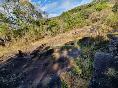 Área À Venda, 15600 M² Por R$ 160.000,00 - Centro - Parai/rs - Ar0011