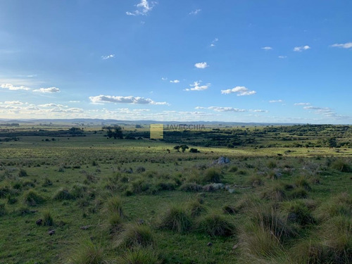 Imagen 13 de 20 de Venta De Campo De 80 Hectáreas Sobre Ruta 39