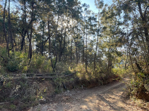 Terreno En Venta En Ciudad Guzman, Jalisco.