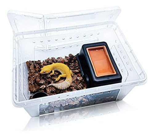 Hamiledyi Reptile Breeding Box Set Portable Gecko Feeding Ha