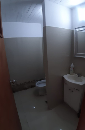 Alquiler Apartamento Punta Carretas Tipo Loft Con Patio