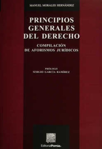 Principios Generales Del Derecho, De Manuel Morales Hernández. Editorial Porrúa México, Edición 2, 2015 En Español