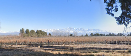 Imagen 5 de 7 de Excelente Para Bodega O Emprendimiento Turístico