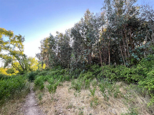Parcela De 2,5 Hectáreas En Venta, Comuna De Río Claro