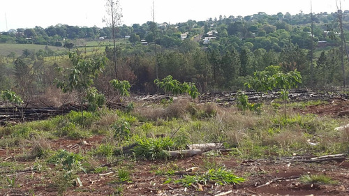Terrenos En Campo Grande Misiones Desde 250m2 En Cuotas