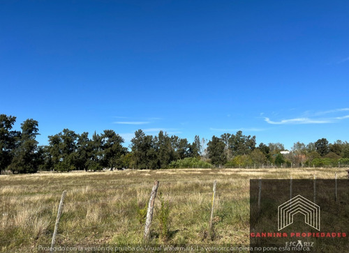 Imagen 4 de 6 de Fraccion De 11000 M2 Apto Desarollo Inmobiliario Canning