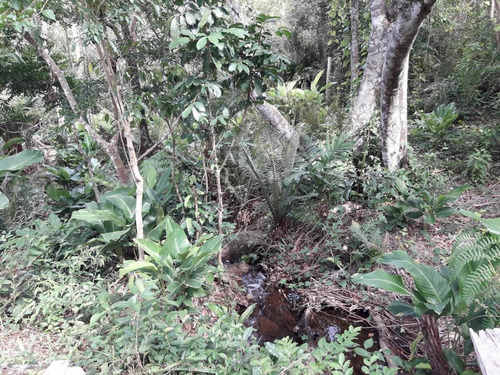 Terreno Para Venda Em Ferraz Garopaba-sc - Tv246