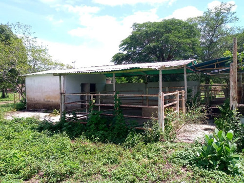 Imagen 3 de 8 de Venta De Extensa Finca En Cojedes - Inmobiliaria Maggi 1161