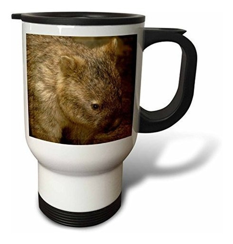 Vaso - 3drose Common Wombat Marsupial Australia Au01 Pox0109