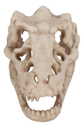 Acuario Artificial Con Decoración De Calavera De Dinosaurio