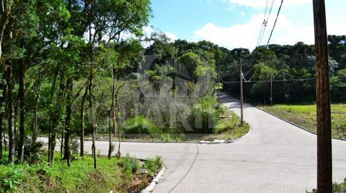 Imagem 3 de 10 de Terreno - Caracol - Ref: 132886 - V-132886