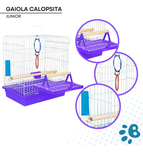 Gaiola Calopsita E Pássaro Manso