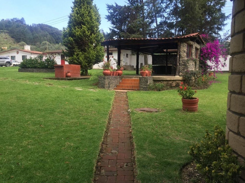 Rancho Venta, Col. San Francisco, Xochimilco