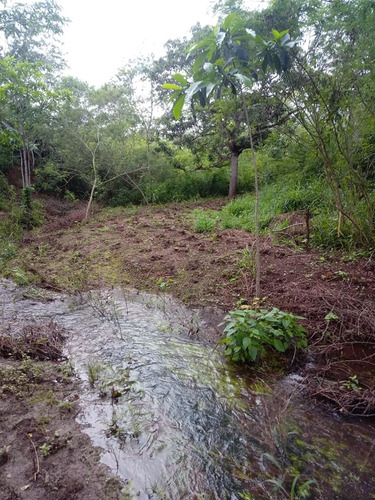 Chácara Top, Para Quem Busca Paz, E Lazer