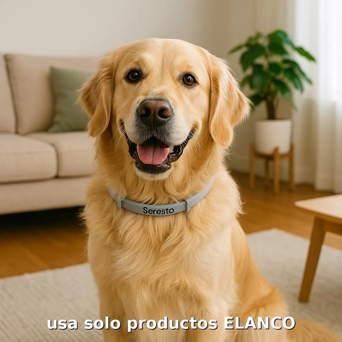 Collar Antipulgas Seresto Elanco Para Perros 2 Grande Y 1 Ch 2 Grandes Y 1 Chico