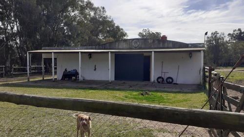 Campo C/ Caballerizas Y Casa Colonial - Villa Elisa