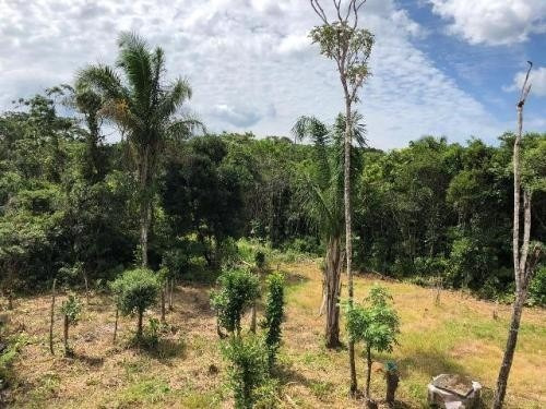Imagem 6 de 14 de Excelente Chácara Com 7 Mil Metros Em Itanhaém Litoral Sp