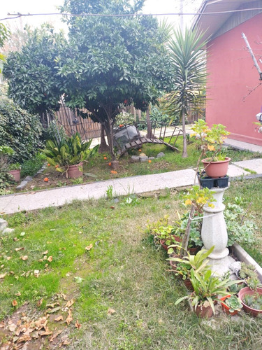 Casa Esquina Avda Macul Con Avda Las Torres (amador Neghme