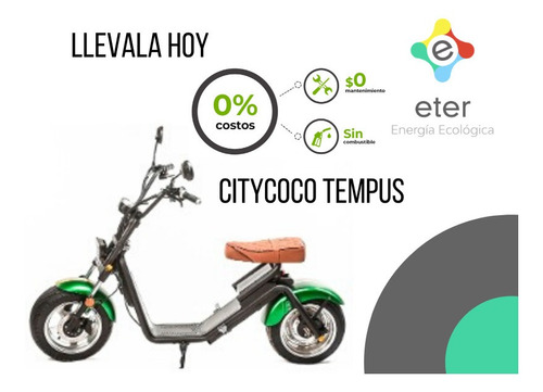 Moto Eléctrica Citycoco Tempus Pilar Zona Norte
