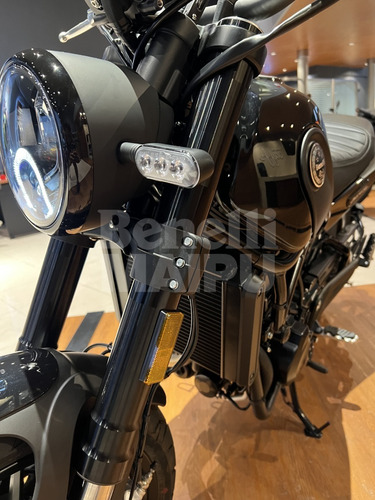 Imagen 9 de 15 de Benelli Leoncino 500