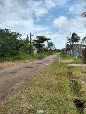Imagem 6 de 10 de Terreno Parcialmente Murado Em Itanhaém Litoral Sul De Sp