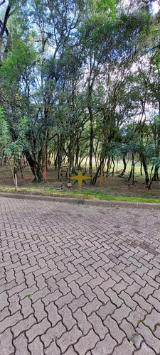 Imagem 2 de 16 de Terreno A Venda - 1088