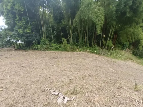 Se Vende Finca Quebradanegra Calarcá Quindío