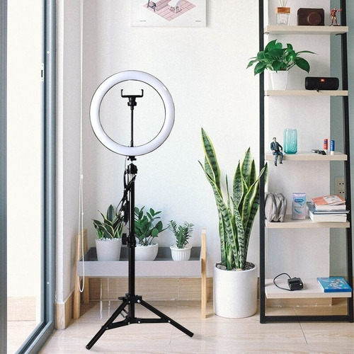 Ring Light Led Iluminador 26cm Completo 2,1m Tripé 210cm P/e