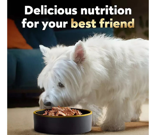 Alimento Para Perro Cesar 48 Pz Surtidos 4 Sabores