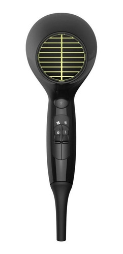 Combo Remington Alaciadora Y Secadora S12a-d13a (110) F Color Negro