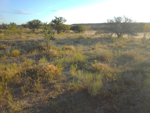 Imagen 21 de 28 de T056pa Amplios Terrenos De 1.350 M2 En Panaholma, A 300 Mts Del Río