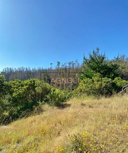 Imagen 11 de 20 de Sitio En Venta En Condominio, Puertecillo, Navidad